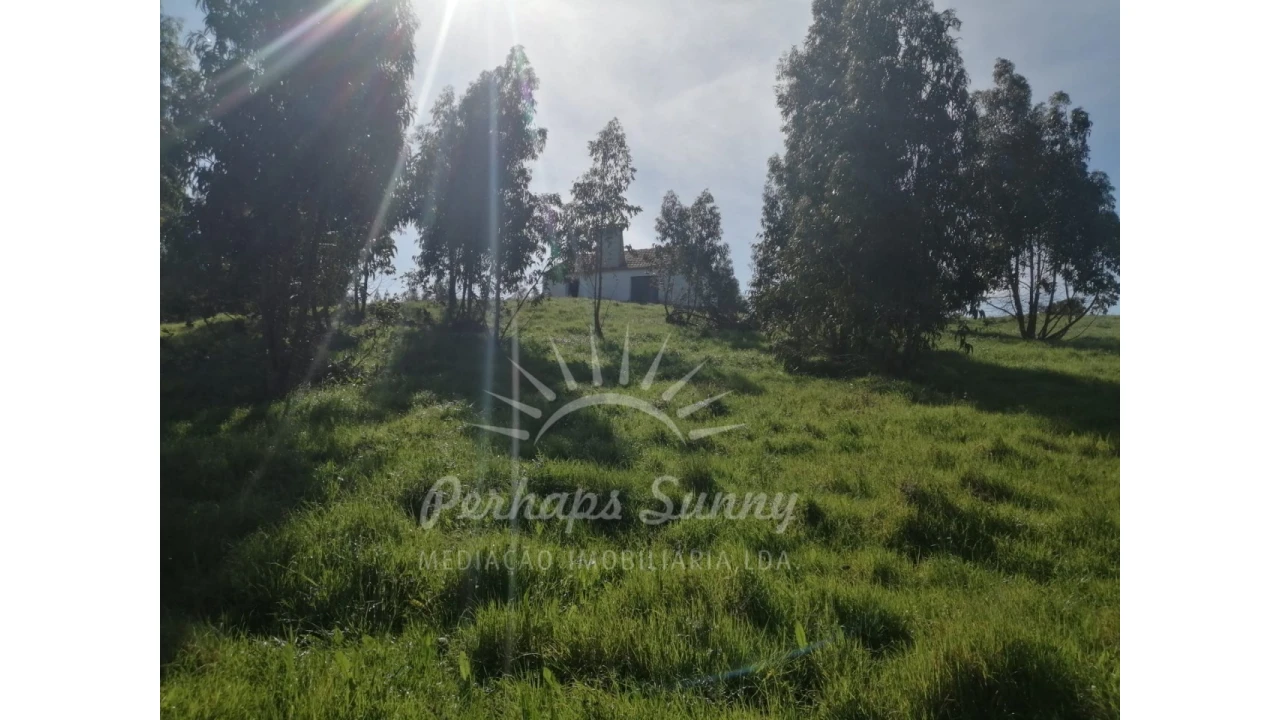 Terreno Misto para Venda em Grândola e Santa Margarida da Serra Foto 2