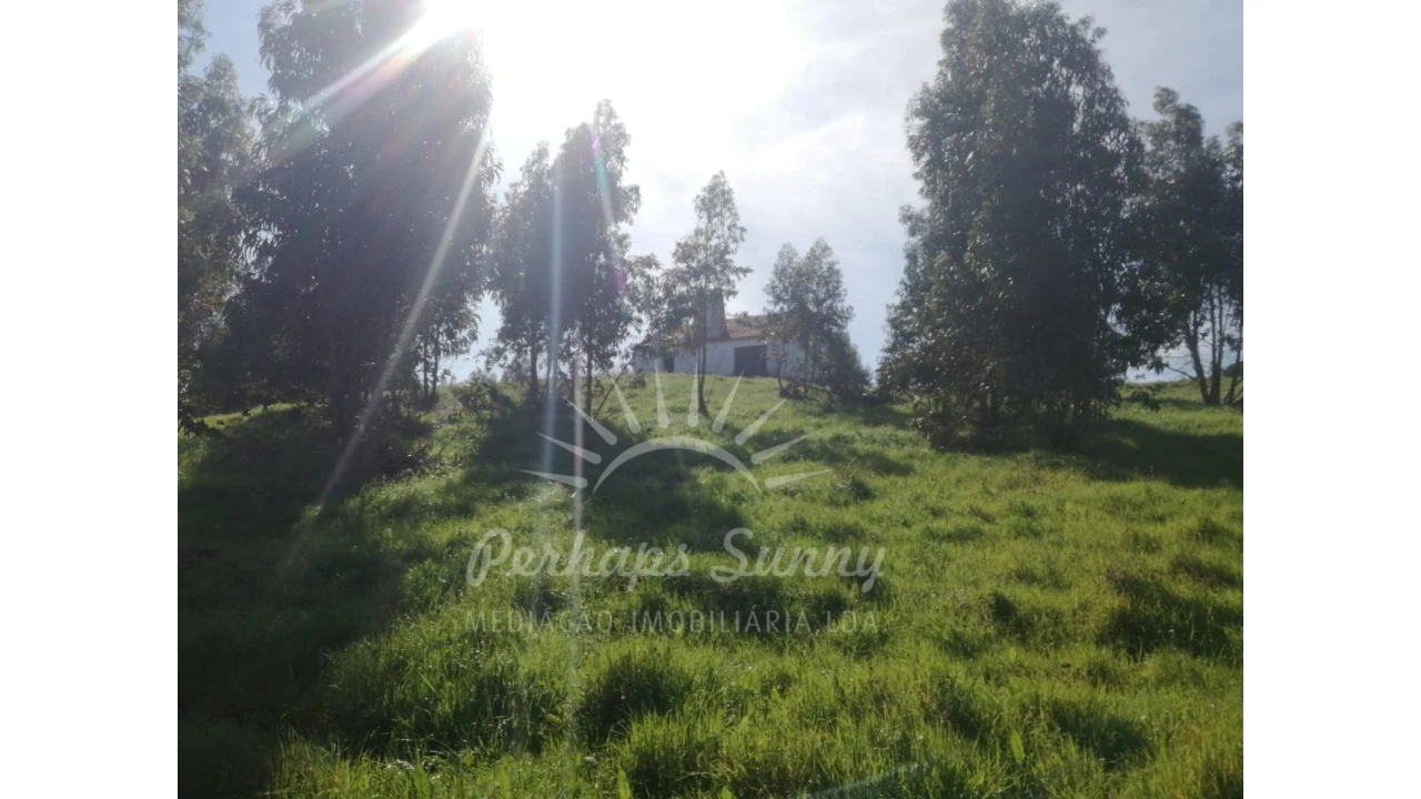 Terreno Misto para Venda em Grândola e Santa Margarida da Serra Foto 14