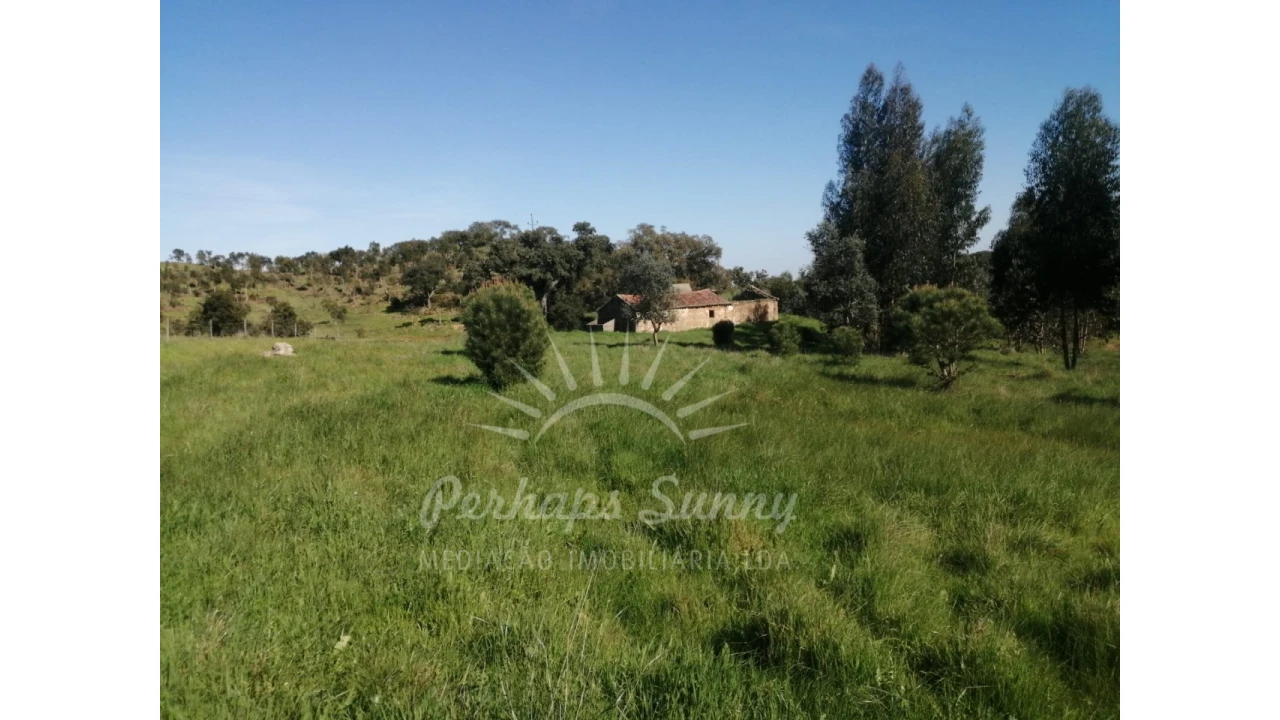 Terreno Misto para Venda em Grândola e Santa Margarida da Serra Foto 16