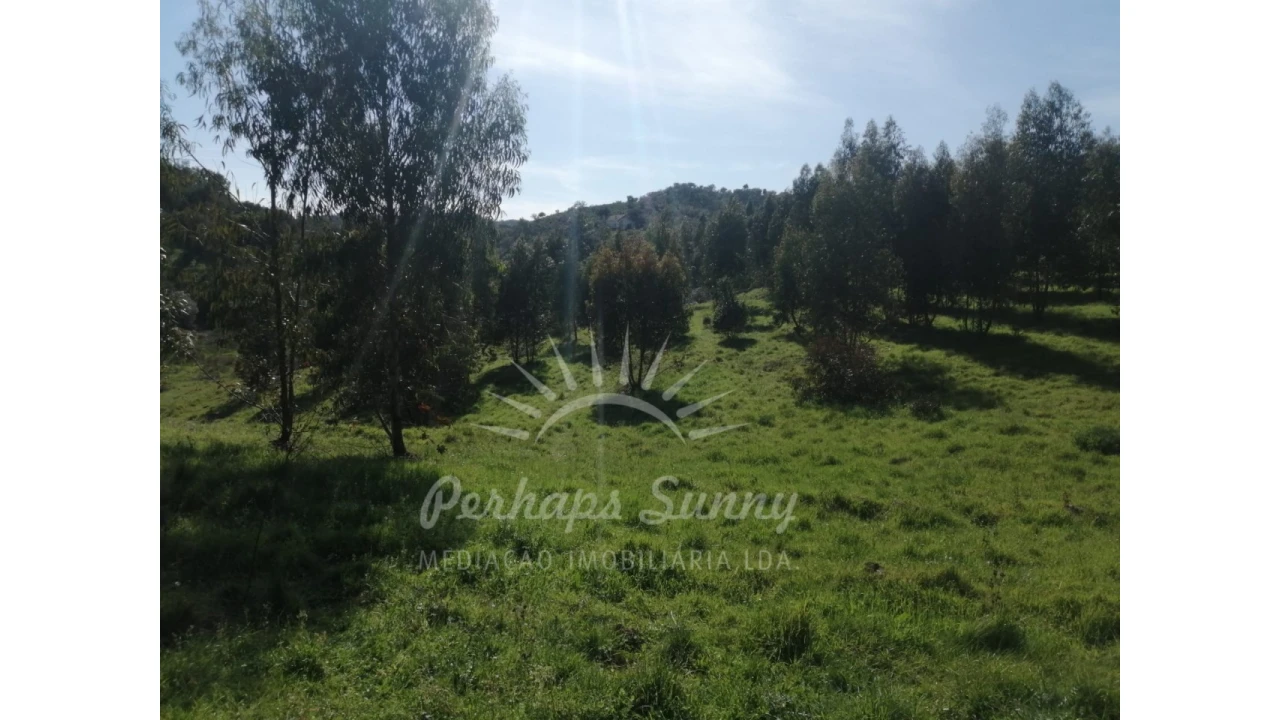 Terreno Misto para Venda em Grândola e Santa Margarida da Serra Foto 20