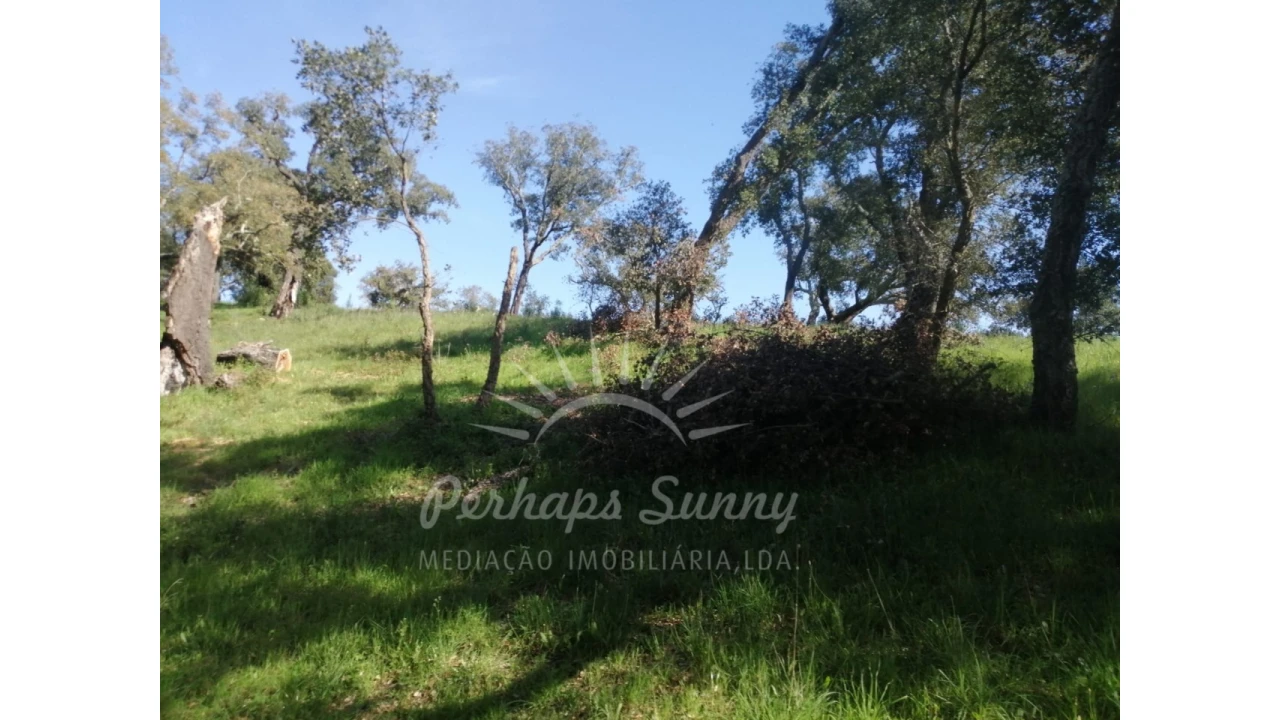 Terreno Misto para Venda em Grândola e Santa Margarida da Serra Foto 21