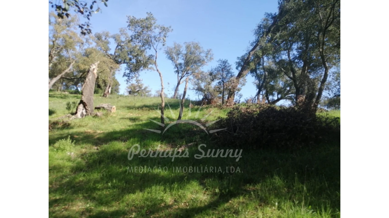 Terreno Misto para Venda em Grândola e Santa Margarida da Serra Foto 23