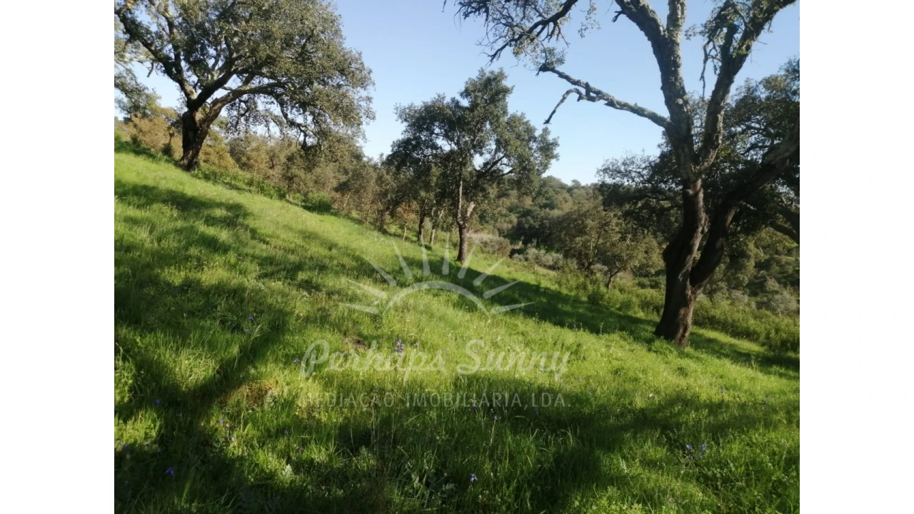 Terreno Misto para Venda em Grândola e Santa Margarida da Serra Foto 25