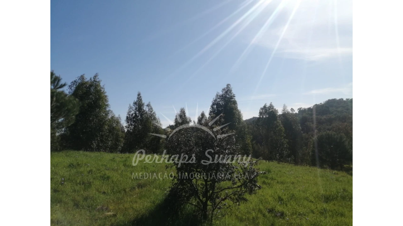 Terreno Misto para Venda em Grândola e Santa Margarida da Serra Foto 33