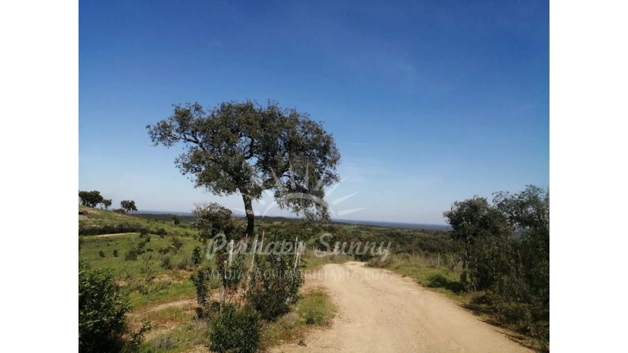 Terreno Misto para Venda em Grândola e Santa Margarida da Serra Foto 36