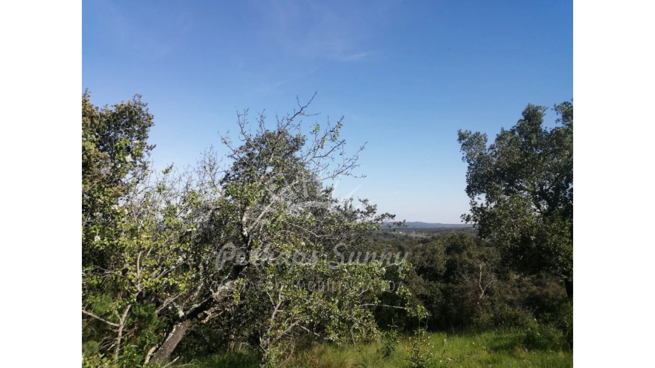 Terreno Misto para Venda em Grândola e Santa Margarida da Serra Foto 37