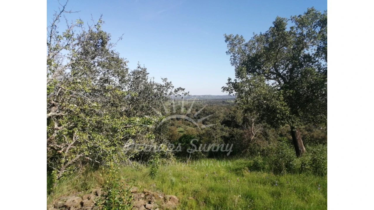 Terreno Misto para Venda em Grândola e Santa Margarida da Serra Foto 40
