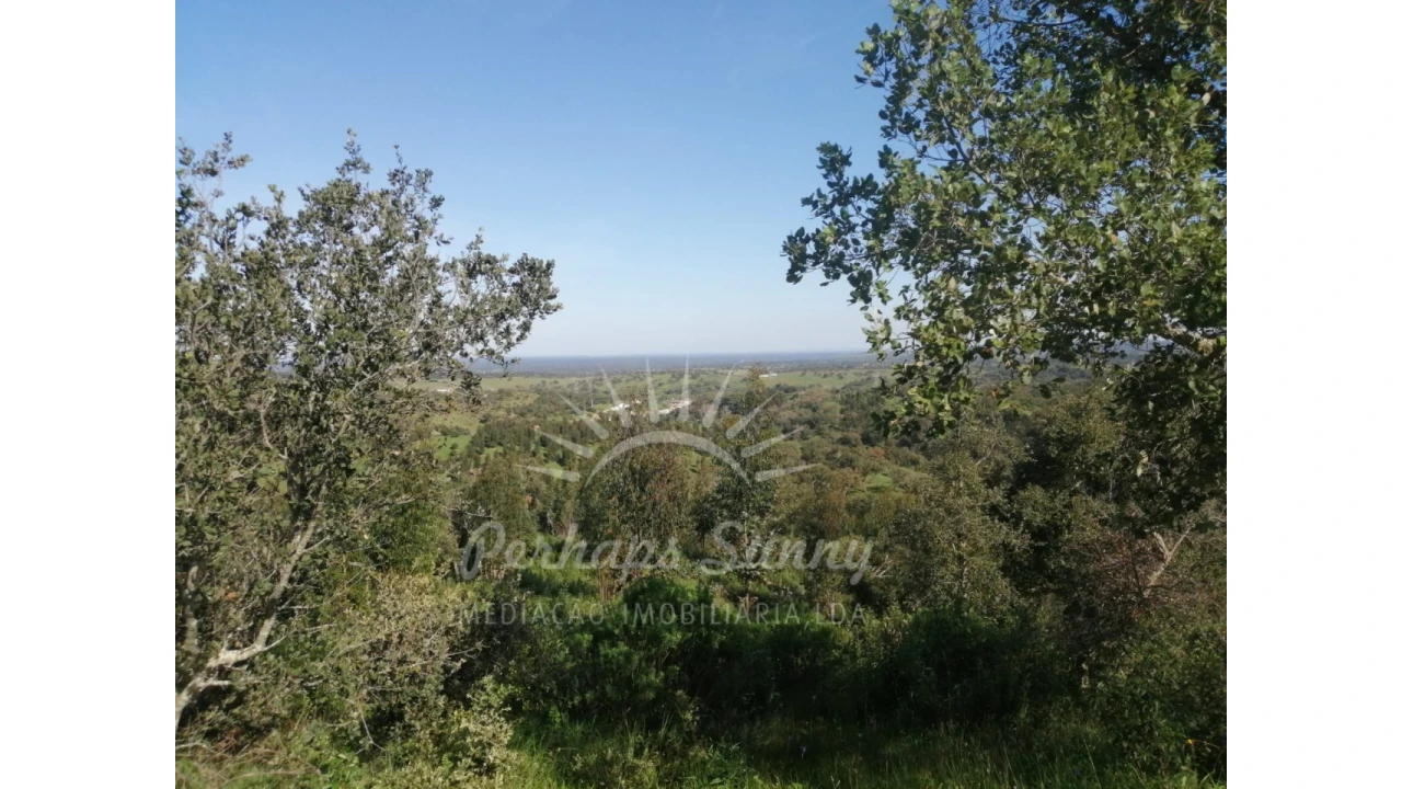 Terreno Misto para Venda em Grândola e Santa Margarida da Serra Foto 41