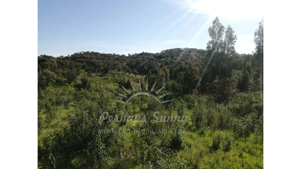 Terreno Misto para Venda em Grândola e Santa Margarida da Serra Foto 42
