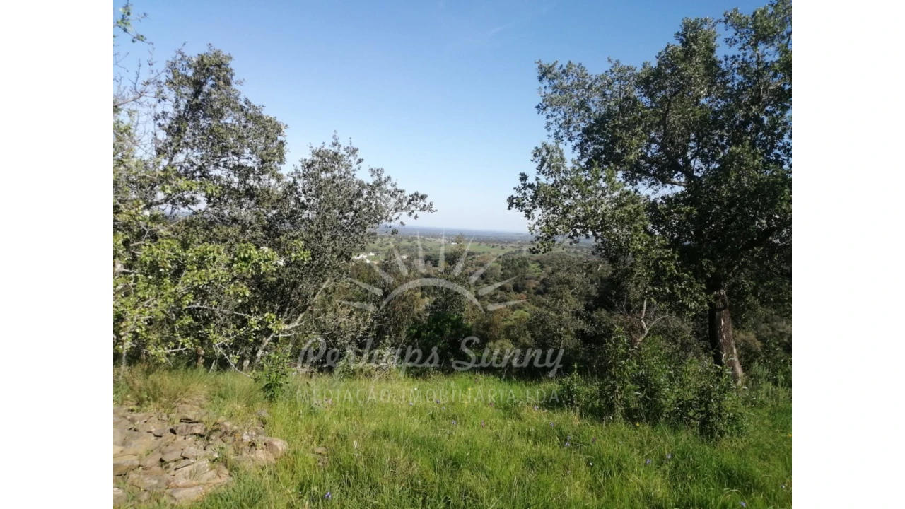 Terreno Misto para Venda em Grândola e Santa Margarida da Serra Foto 43
