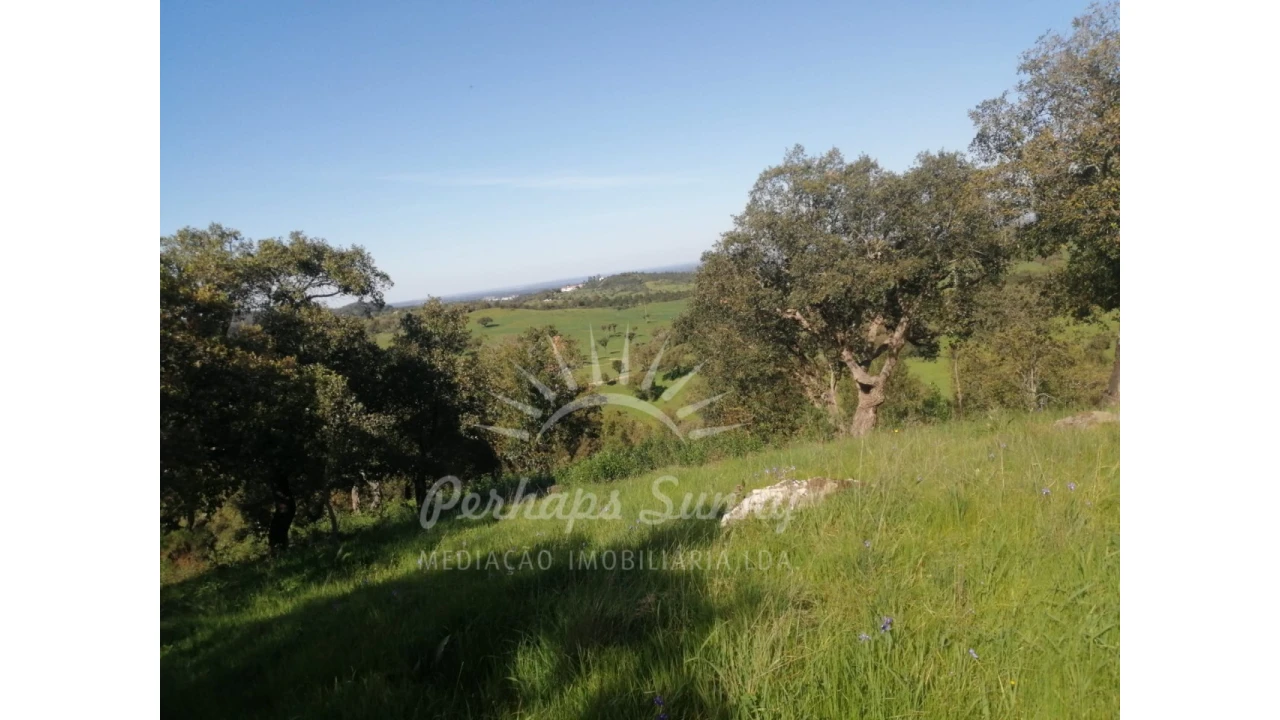 Terreno Misto para Venda em Grândola e Santa Margarida da Serra Foto 45