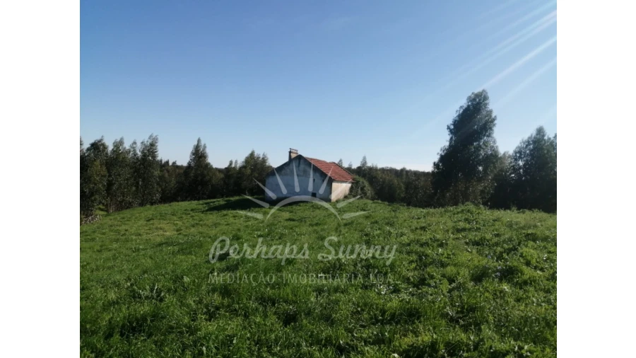 Terreno Misto para Venda em Grândola e Santa Margarida da Serra Foto 3