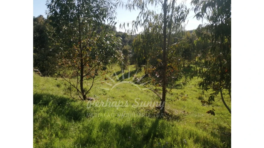 Terreno Misto para Venda em Grândola e Santa Margarida da Serra Foto 4
