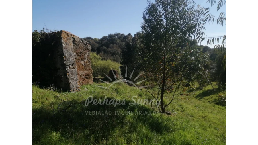 Terreno Misto para Venda em Grândola e Santa Margarida da Serra Foto 5