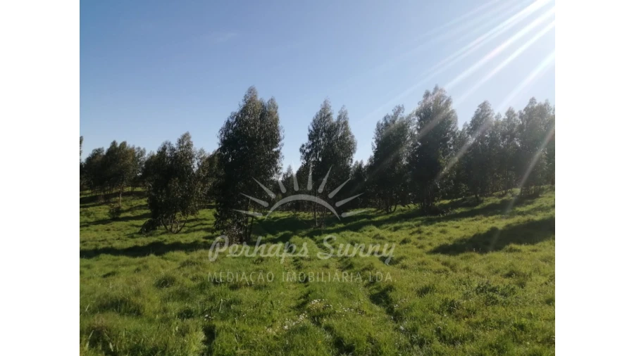 Terreno Misto para Venda em Grândola e Santa Margarida da Serra Foto 6