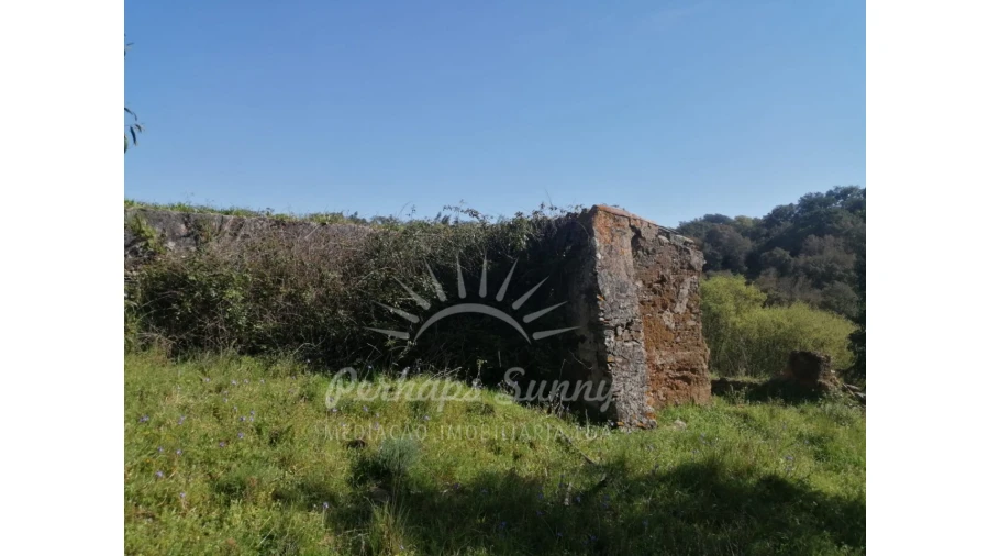 Terreno Misto para Venda em Grândola e Santa Margarida da Serra Foto 8