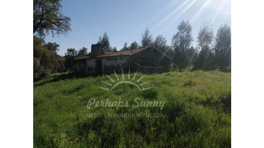 Terreno Misto para Venda em Grândola e Santa Margarida da Serra Foto 11