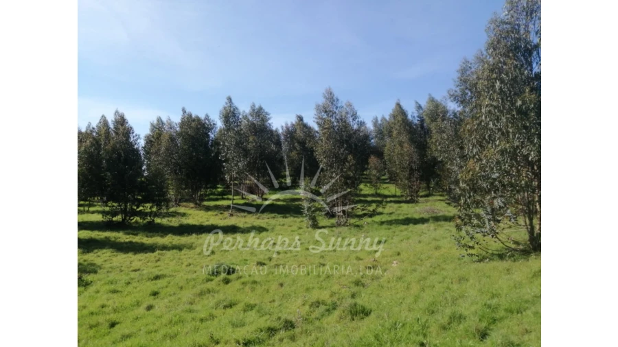 Terreno Misto para Venda em Grândola e Santa Margarida da Serra Foto 12