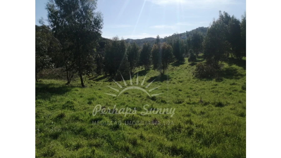 Terreno Misto para Venda em Grândola e Santa Margarida da Serra Foto 13