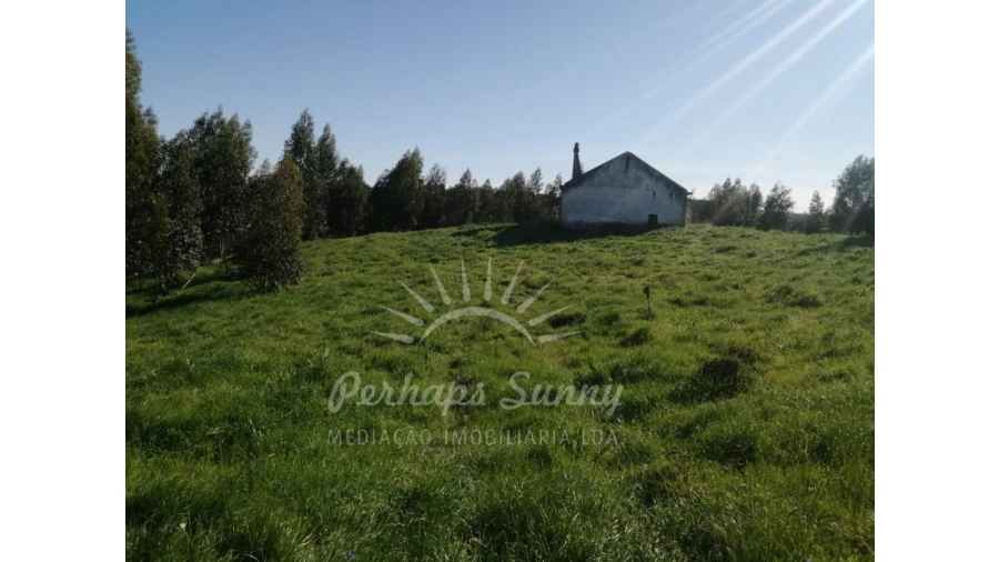 Terreno Misto para Venda em Grândola e Santa Margarida da Serra Foto 15