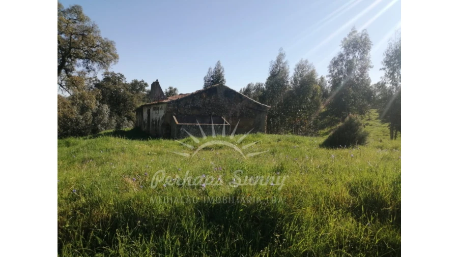 Terreno Misto para Venda em Grândola e Santa Margarida da Serra Foto 17