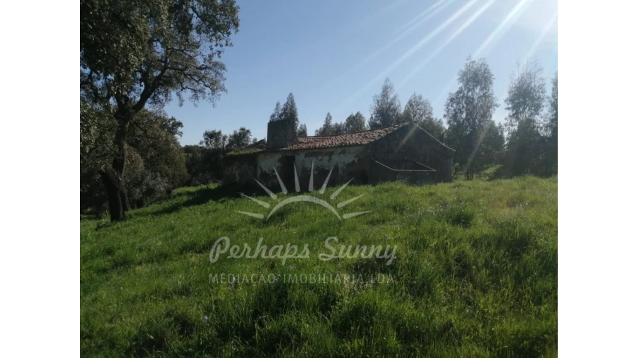 Terreno Misto para Venda em Grândola e Santa Margarida da Serra Foto 19