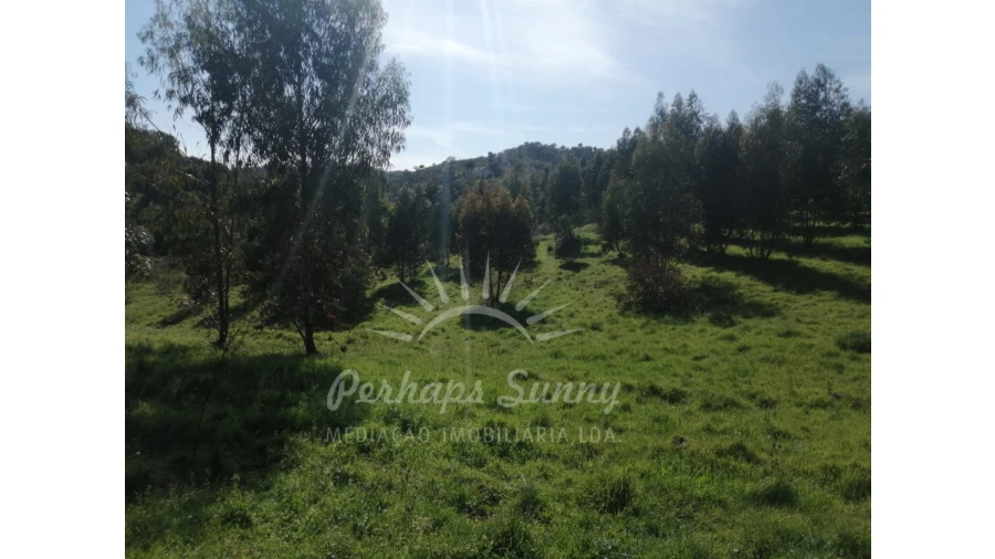 Terreno Misto para Venda em Grândola e Santa Margarida da Serra Foto 20