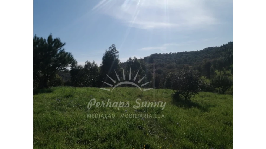 Terreno Misto para Venda em Grândola e Santa Margarida da Serra Foto 24
