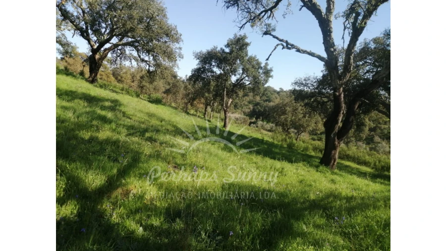 Terreno Misto para Venda em Grândola e Santa Margarida da Serra Foto 25