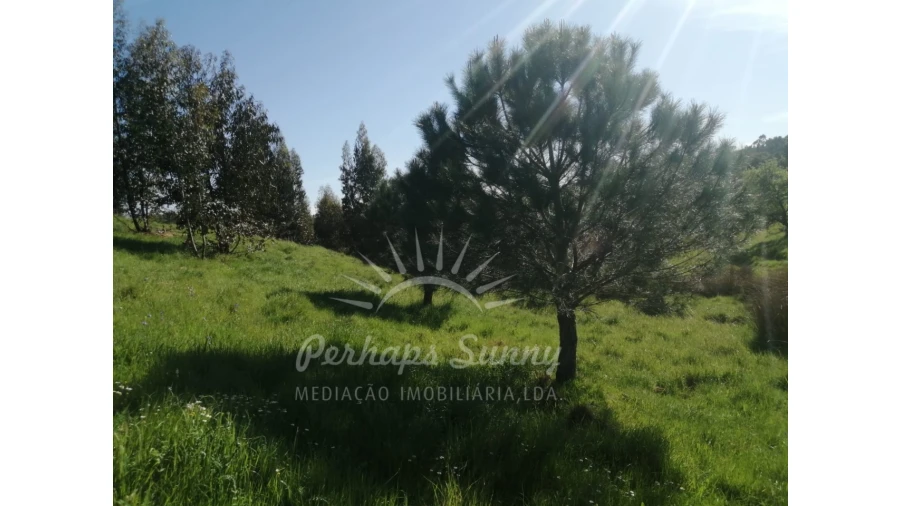 Terreno Misto para Venda em Grândola e Santa Margarida da Serra Foto 26