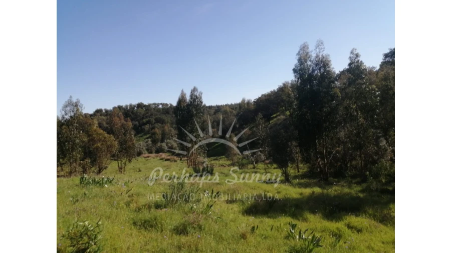 Terreno Misto para Venda em Grândola e Santa Margarida da Serra Foto 27