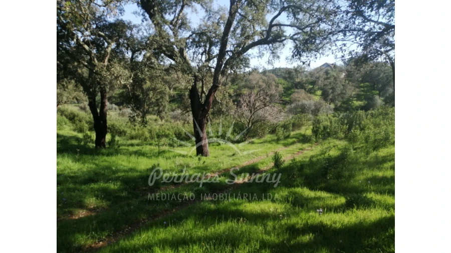 Terreno Misto para Venda em Grândola e Santa Margarida da Serra Foto 28