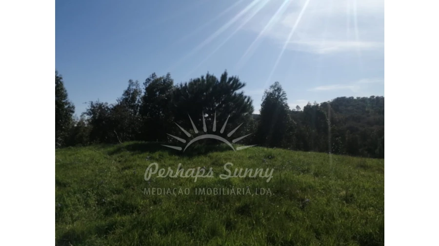 Terreno Misto para Venda em Grândola e Santa Margarida da Serra Foto 30