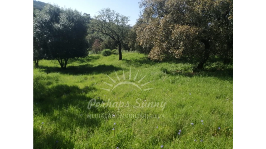 Terreno Misto para Venda em Grândola e Santa Margarida da Serra Foto 31