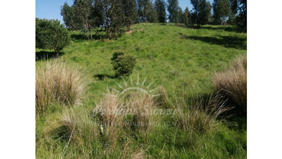 Terreno Misto para Venda em Grândola e Santa Margarida da Serra Foto 32