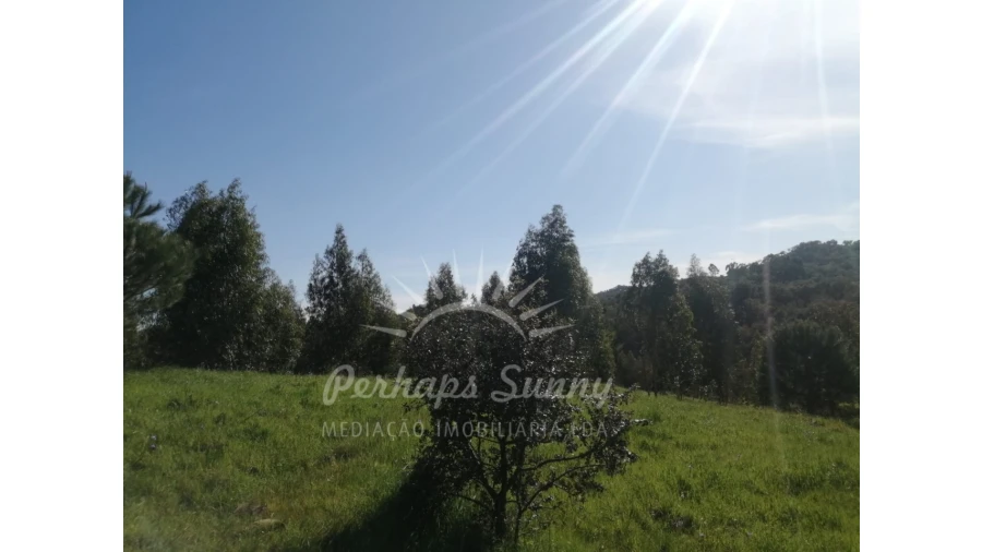 Terreno Misto para Venda em Grândola e Santa Margarida da Serra Foto 33