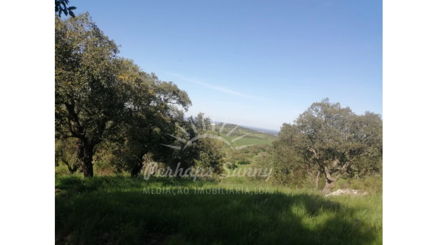 Terreno Misto para Venda em Grândola e Santa Margarida da Serra Foto 39
