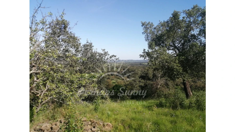 Terreno Misto para Venda em Grândola e Santa Margarida da Serra Foto 40