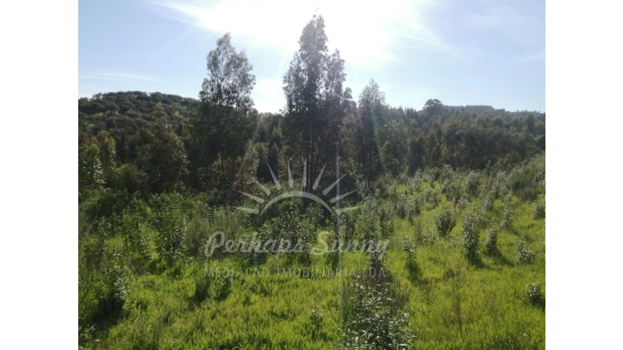 Terreno Misto para Venda em Grândola e Santa Margarida da Serra Foto 47