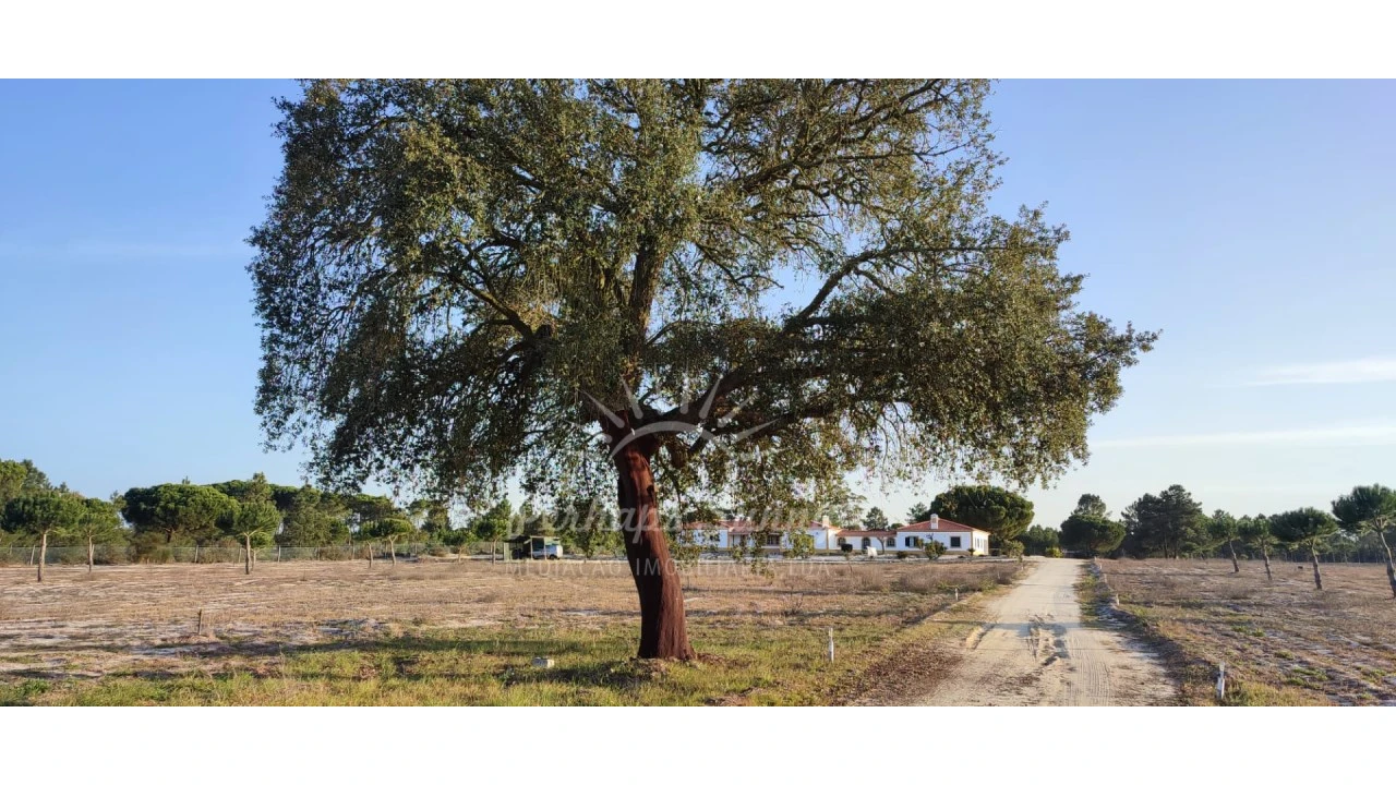 Quinta T7 para Venda em Grândola e Santa Margarida da Serra Foto 21