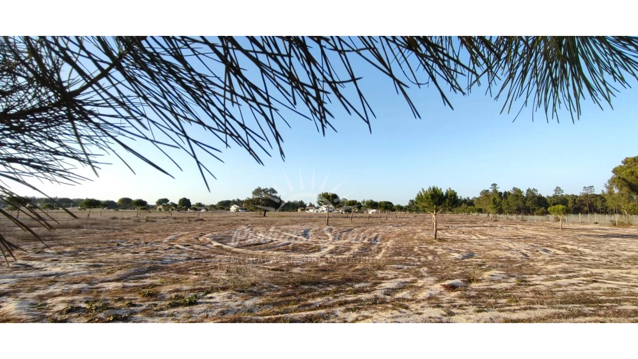 Quinta T7 para Venda em Grândola e Santa Margarida da Serra Foto 13