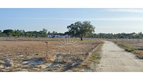 Quinta T7 para Venda em Grândola e Santa Margarida da Serra