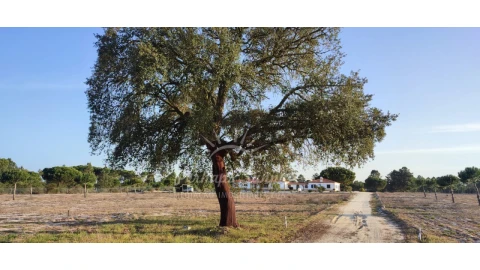 Quinta T7 para Venda em Grândola e Santa Margarida da Serra