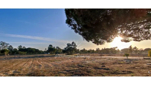 Quinta T7 para Venda em Grândola e Santa Margarida da Serra
