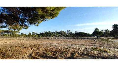 Quinta T7 para Venda em Grândola e Santa Margarida da Serra