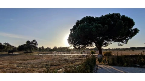 Quinta T7 para Venda em Grândola e Santa Margarida da Serra