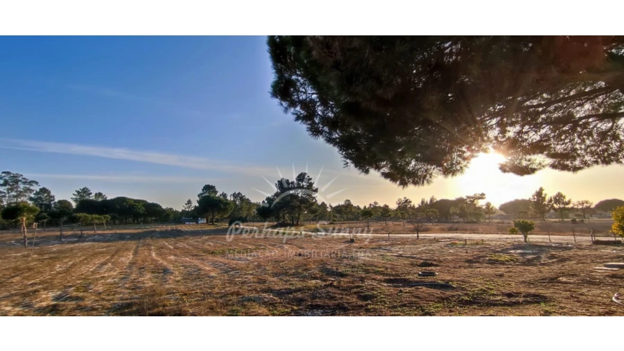 Quinta T7 para Venda em Grândola e Santa Margarida da Serra Foto 12