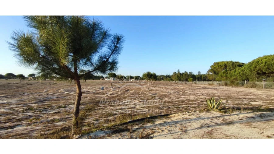Quinta T7 para Venda em Grândola e Santa Margarida da Serra Foto 43