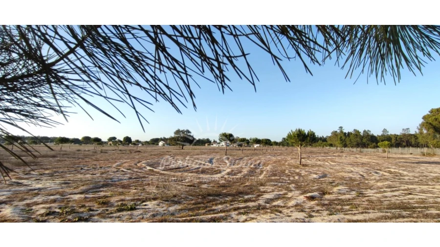Quinta T7 para Venda em Grândola e Santa Margarida da Serra Foto 13