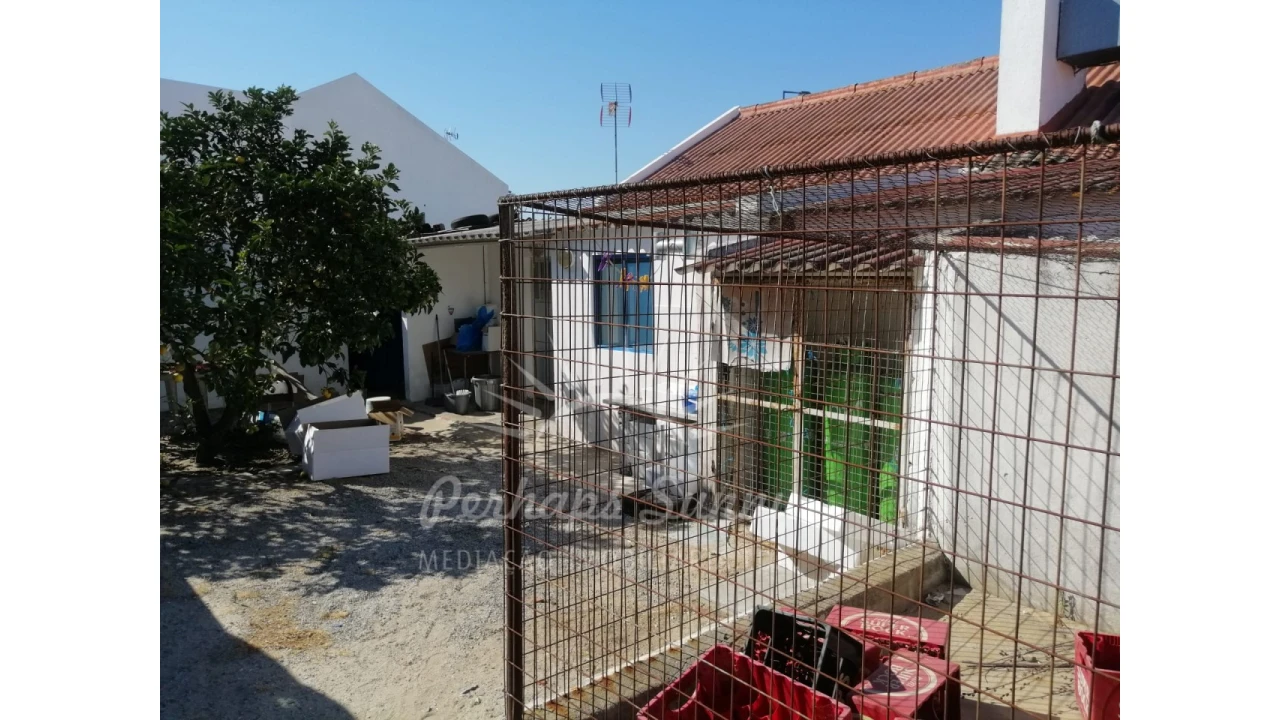 Negócio para Venda em Comporta Foto 19